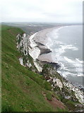 TA1674 : Crowe's Shoot, Speeton Cliffs by Paul Glazzard
