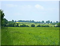 ST7853 : 2008 : Wheatfield near Woolverton by Maurice Pullin