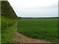 Farmland along the Ridgeway path