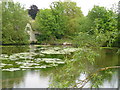 Bishopstone Pond