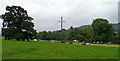 Field behind Weston Hall