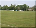 Cricket pitch