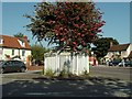 A strange road sign in Tolleshunt D