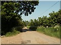 Part of Old Hall Lane, close to Old Hall Farm