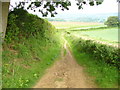 Bridleway South of Paddington Farm