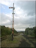 SS6896 : Signal on the Swansea Vale Railway by Hywel Williams