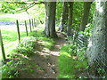 Footpath above Stanhope Burn