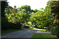 Stone House Lane on a May evening