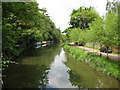 River Wey Navigation at Cartbridge