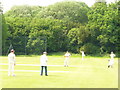 Cricket at Abinger Hammer