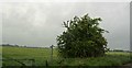 Bridleway from a lay-by adjacent the Southbound A1