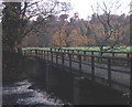 Bridge at Conyngham Park