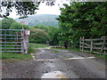 Road to the Trout Pool