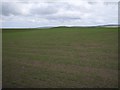 Farmland at Hobbister