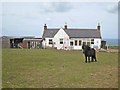 Cottage above Pennan