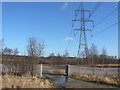Poolsbrook Country Park - Pylons and Railway