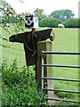 Redundant Scarecrow