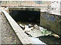 Oil Mill Beck at Low Mill Horsforth (1)