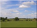 Pastures at Farlam