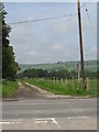 SO3363 : Track to Cat & Fiddle farm 2008 by Peter Whatley
