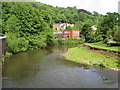 River Derwent View - Looking towards Masson Mills