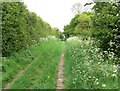 The Ivanhoe Way north of Ashby de la Zouch