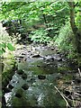 Oil Mill Beck from Brookfoot Bridge, Horsforth