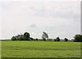 Equipment room, Chilbolton radio telescope