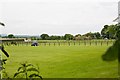 Fields for horses between Drove Road and Martins Lane, Chilbolton