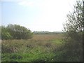 Marshland south of Towyn y Capel Road