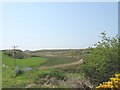 Marshland edged meander