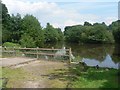 Highcliffe: Nea Meadows nature reserve