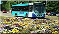 Bus, Templepatrick