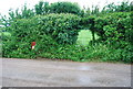 Rural post box near Stokenham