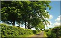 Ballynoe Lane near Antrim