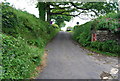 Postbox by the turn off to Southwood, near Strete