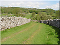 A Green Lane leading to Skirethorns