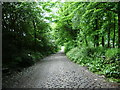 Plantation Road, Accrington