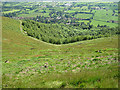 Wooded slopes below Pinnacle Hill