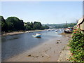 Low tide, Afon Teifi