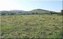 SH5766 : Newly mown hay field at Pentir by Eric Jones