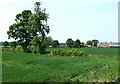 Arable Land near Shipley, Shropshire