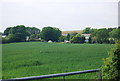 Looking across a field to Cotmore & campsite