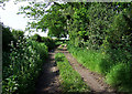 Farm track north of Shipley, Shropshire