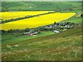 NT9529 : The Northumbrian village of Akeld by John Watson