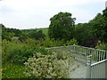 No houses, no farms, no people. Just some decking and shrubs in the middle of the North Devon countryside!