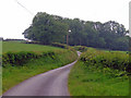 Copse, Pensarn-fawr, Dihewyd