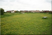 SK8594 : Buttercup Meadow by Richard Croft