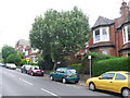 Dollis Lane Finchley