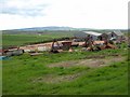 Farmyard near Ladysford